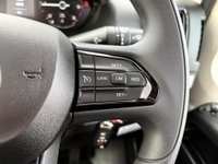 USED 2025 25 BENIMAR PRIMERO 201 36 L2H1 STANDARD CC VIRTUALLY BRAND NEW/LOW MILES