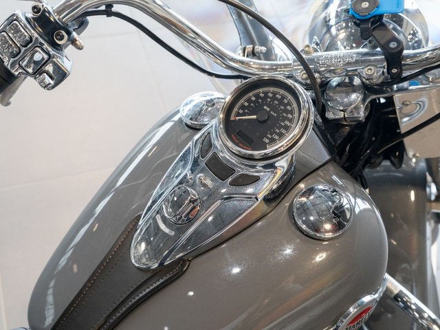 View our HARLEY-DAVIDSON SOFTAIL