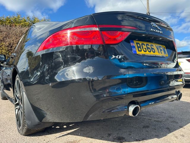 View our JAGUAR XF