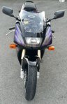 USED 1994 M SUZUKI RGV250 SUZUKI RGV250R 1994 SUZUKI RGV250R 1994 MODEL