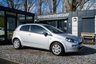 USED 2013 63 FIAT PUNTO 1.4 Easy Hatchback 3dr Petrol Manual Euro 5 (s/s) (77 bhp) 