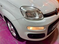 USED 2013 63 FIAT PANDA 1.2 Lounge Hatchback 5dr Petrol Manual Euro 6 (69 bhp) FULL SERVICE HISTORY. LowMiles