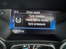 USED 2017 67 FORD FOCUS 1.5 TDCi Zetec Edition Hatchback 5dr Diesel Manual Euro 6 (s/s) (120 ps) NAV, PARK SENS + 9 SERVICES!!