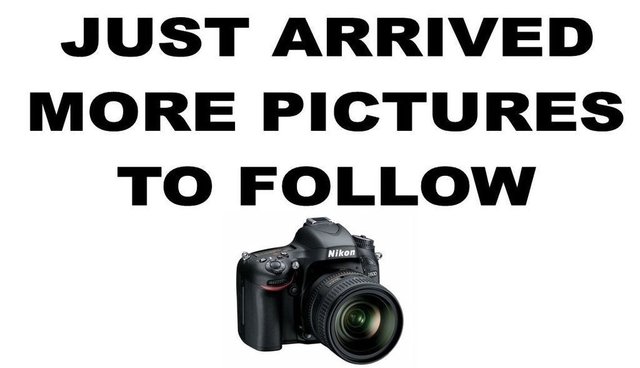 2019 BMW X2 - Photo 9