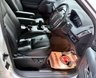 USED 2013 13 LAND ROVER FREELANDER 2 2.2 TD4 Dynamic SUV 5dr Diesel Manual 4WD Euro 5 (s/s) (150 ps) 