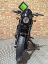 USED 2021 21 HARLEY-DAVIDSON STREET ROD 750 - LOW MILEAGE - SERVICED - LOVELY BIKE. ULEZ COMPLIANT - LOVELY CONDITION