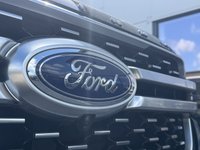 USED 2023 73 FORD RANGER 3.0 TD V6 EcoBlue Platinum Pickup Double Cab 4dr Diesel Auto 4WD Euro 6 (s/s) (240 ps) NORTREE APPROVED  VEHICLE