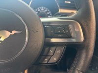 USED 2016 16 FORD MUSTANG 2.3T EcoBoost Fastback 2dr Petrol SelShift Euro 6 (317 ps)+2 KEYS+1 FORMER KEEPER+HISTORY+FULL LEATHER HEATED SEATS+CLIMATE+PRIVACY+CRUISE+PARK CONTROL WITH CAMERA+BLACK ALLOYS+BLUETOOTH+MEDIA+DAB+NAV 2 KEYS+1 FORMER KEEPER+HISTORY+FULL LEATHER HEATED SEATS+CLIMATE+PRIVACY+CRUISE+PARK CONTROL WITH CAMERA+BLACK ALLOYS+BLUETOOTH+MEDIA+DAB+NAV+HPI CLEAR