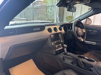USED 2016 16 FORD MUSTANG 2.3T EcoBoost Fastback 2dr Petrol SelShift Euro 6 (317 ps)+2 KEYS+1 FORMER KEEPER+HISTORY+FULL LEATHER HEATED SEATS+CLIMATE+PRIVACY+CRUISE+PARK CONTROL WITH CAMERA+BLACK ALLOYS+BLUETOOTH+MEDIA+DAB+NAV 2 KEYS+1 FORMER KEEPER+HISTORY+FULL LEATHER HEATED SEATS+CLIMATE+PRIVACY+CRUISE+PARK CONTROL WITH CAMERA+BLACK ALLOYS+BLUETOOTH+MEDIA+DAB+NAV+HPI CLEAR