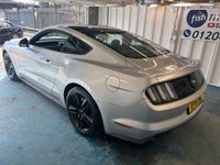 USED 2016 16 FORD MUSTANG 2.3T EcoBoost Fastback 2dr Petrol SelShift Euro 6 (317 ps)+2 KEYS+1 FORMER KEEPER+HISTORY+FULL LEATHER HEATED SEATS+CLIMATE+PRIVACY+CRUISE+PARK CONTROL WITH CAMERA+BLACK ALLOYS+BLUETOOTH+MEDIA+DAB+NAV 2 KEYS+1 FORMER KEEPER+HISTORY+FULL LEATHER HEATED SEATS+CLIMATE+PRIVACY+CRUISE+PARK CONTROL WITH CAMERA+BLACK ALLOYS+BLUETOOTH+MEDIA+DAB+NAV+HPI CLEAR
