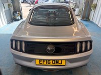 USED 2016 16 FORD MUSTANG 2.3T EcoBoost Fastback 2dr Petrol SelShift Euro 6 (317 ps)+2 KEYS+1 FORMER KEEPER+HISTORY+FULL LEATHER HEATED SEATS+CLIMATE+PRIVACY+CRUISE+PARK CONTROL WITH CAMERA+BLACK ALLOYS+BLUETOOTH+MEDIA+DAB+NAV 2 KEYS+1 FORMER KEEPER+HISTORY+FULL LEATHER HEATED SEATS+CLIMATE+PRIVACY+CRUISE+PARK CONTROL WITH CAMERA+BLACK ALLOYS+BLUETOOTH+MEDIA+DAB+NAV+HPI CLEAR