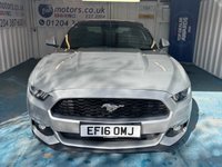 USED 2016 16 FORD MUSTANG 2.3T EcoBoost Fastback 2dr Petrol SelShift Euro 6 (317 ps)+2 KEYS+1 FORMER KEEPER+HISTORY+FULL LEATHER HEATED SEATS+CLIMATE+PRIVACY+CRUISE+PARK CONTROL WITH CAMERA+BLACK ALLOYS+BLUETOOTH+MEDIA+DAB+NAV 2 KEYS+1 FORMER KEEPER+HISTORY+FULL LEATHER HEATED SEATS+CLIMATE+PRIVACY+CRUISE+PARK CONTROL WITH CAMERA+BLACK ALLOYS+BLUETOOTH+MEDIA+DAB+NAV+HPI CLEAR