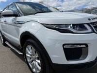USED 2015 65 LAND ROVER RANGE ROVER EVOQUE 2.0 TD4 SE SUV 5dr Diesel Auto 4WD Euro 6 (s/s) (180 ps) A TRULY STUNNING ADDITION TO OUR FORECOURT FINISHED IN MASSIVELY POPULAR WHITE PAINT+4 WHEEL DRIVE WITH ACTIVE DRIVE LINE+SERVICE HISTORY+DIESEL+AUTOMATIC+ULEZ COMPLIANT+PRIVACY GLASS+CHROME TREAD PLATES+FRONT FOG LAMPS+FULL LEATHER INTERIOR+FULL PANORAMIC GLASS ROOF WITH POWERED BLIND+PARK ASSIST+CLIMATE CONTROL+18 INCH, 7 SPOKE ALLOY WHEELS+COST NEW &pound;36665 MAKING THIS USED VEHICLE OUTSTANDING VALUE AT OUR LOW PRICE+1 FULL YEARS MOT PRIOR TO COLLECTION+CALL NOW TO SECURE A VIEWING!!!!!!!!!!!!!!