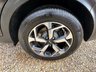 USED 2019 69 KIA SPORTAGE 1.6 GDi 2 SUV 5dr Petrol Manual Euro 6 (s/s) (130 bhp) 