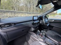 USED 2020 20 FORD KUGA 2.0 EcoBlue MHEV ST-Line First Edition SUV 5dr Diesel Manual Euro 6 (s/s) (150 ps) SUV