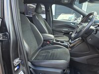 USED 2018 68 FORD KUGA 1.5T EcoBoost GPF ST-Line X SUV 5dr Petrol Manual Euro 6 (s/s) (150 ps) PANORAMIC SUNROOF+ FULL SERVICE HISTORY+ 19 INCH ALLOY WHEEL+ PRIVATE GLASS+ PARKING SENSORS+ MULTI CONTROL STEARING WHEEL+ CRUISE CONTROL+ AUTO HEADLIGHTS+ SAT NAV+ DAB+ BLUETOOTH+ CD PLAYER+ DUAL CLIMATE CONTROL+ HEATED FRONT SEATS+ ELECTRONIC PARKING BRAKE+ START/STOP+ KEYLESS+ HALF LEATHER TRIM+ AUTO TAILGATE+ SPARE WHEEL+