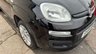 USED 2015 64 FIAT PANDA 0.9 TwinAir Easy Hatchback 5dr Petrol Manual Euro 6 (s/s) (85 bhp) Arrange WhatsApp video call