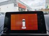 USED 2019 69 CITROEN BERLINGO 1.5 BlueHDi Flair XL MPV 5dr Diesel Manual Euro 6 (s/s) (100 ps) 