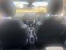 USED 2023 23 CITROEN C3 1.2 PureTech C-Series Edition Hatchback 5dr Petrol Manual Euro 6 (s/s) (83 ps) SAT NAV & REVERSING CAMERA