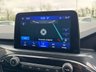 USED 2021 21 FORD KUGA 1.5 EcoBlue ST-Line Edition SUV 5dr Diesel Manual Euro 6 (s/s)  1 Owner, Apple Carplay