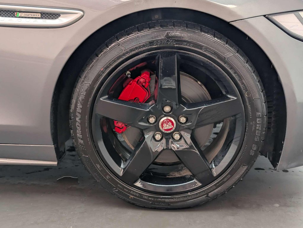 Used 2015 15 JAGUAR XE 2.0 XE R-Sport i Auto 4dr CLICK & COLLECT/ HOME DELIVERY