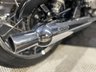 USED 2019 69 TRIUMPH BONNEVILLE T120 FINANCE SPECIALISTS APPLY NOW LOW RATE FINANCE DELIVERY AVAILABLE