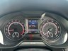 USED 2017 67 SKODA OCTAVIA 2.0 TDI vRS Hatchback 5dr Diesel DSG Euro 6 (s/s) (184 ps) AUTO 12 MONTH MOT & ENGINE SERVICE