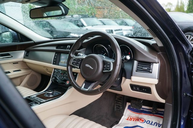 View our JAGUAR XF