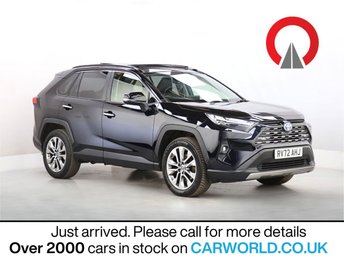 2022 TOYOTA RAV4