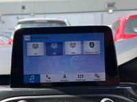 USED 2019 19 FORD FOCUS 2.3T EcoBoost ST Hatchback 5dr Petrol Manual Euro 6 (s/s) (280 ps) 