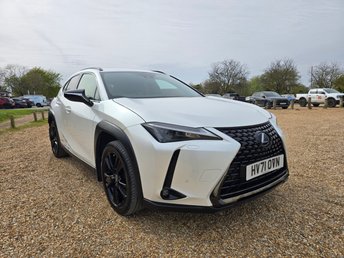 2021 LEXUS UX