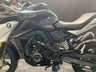 USED 2021 71 BMW G 310 GS FINANCE SPECIALISTS APPLY NOW LOW RATE FINANCE DELIVERY AVAILABLE