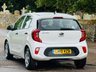 USED 2019 19 KIA PICANTO 1.0 1 Hatchback 5dr Petrol Manual Euro 6 (66 bhp) LOW MILES+ULEZ+1OWNER+WARRANTY