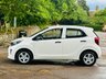 USED 2019 19 KIA PICANTO 1.0 1 Hatchback 5dr Petrol Manual Euro 6 (66 bhp) LOW MILES+ULEZ+1OWNER+WARRANTY