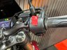 USED 2023 73 HONDA CBF300 FINANCE SPECIALISTS APPLY NOW LOW RATE FINANCE DELIVERY AVAILABLE