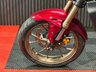 USED 2023 73 HONDA CBF300 FINANCE SPECIALISTS APPLY NOW LOW RATE FINANCE DELIVERY AVAILABLE