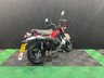 USED 2024 74 HONDA DAX 125 FINANCE SPECIALISTS APPLY NOW LOW RATE FINANCE DELIVERY AVAILABLE