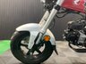 USED 2024 74 HONDA DAX 125 FINANCE SPECIALISTS APPLY NOW LOW RATE FINANCE DELIVERY AVAILABLE