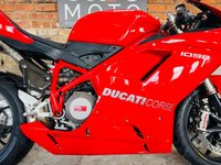 USED 2008 DUCATI 1098 1099cc Standard Bike