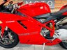 USED 2008 DUCATI 1098 1099cc Standard Bike