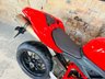 USED 2008 DUCATI 1098 1099cc Standard Bike
