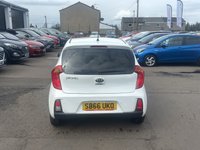USED 2016 66 KIA PICANTO 1.25 SE Hatchback 5dr Petrol Auto Euro 6 (84 bhp) REAR SENSORS+ DAYTIME RUNNING LIGHTS+ PRIVACY GLASS+ CRUISE CONTROL+ TRACTION CONTROL+ CLIMATE CONTROL+ BLUETOOTH+ AUX+ USB+ SPARE WHEEL+ 14 INCH ALLOY WHEELS