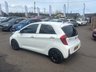 USED 2016 66 KIA PICANTO 1.25 SE Hatchback 5dr Petrol Auto Euro 6 (84 bhp) REAR SENSORS+ DAYTIME RUNNING LIGHTS+ PRIVACY GLASS+ CRUISE CONTROL+ TRACTION CONTROL+ CLIMATE CONTROL+ BLUETOOTH+ AUX+ USB+ SPARE WHEEL+ 14 INCH ALLOY WHEELS