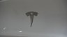 USED 2023 23 TESLA MODEL Y (Dual Motor) Long Range SUV 5dr Electric Auto 4WDE (384 bhp) Pan Roof+