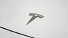 USED 2023 23 TESLA MODEL Y (Dual Motor) Long Range SUV 5dr Electric Auto 4WDE (384 bhp) Pan Roof+