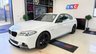 USED 2016 65 BMW 5 SERIES 2.0 520d M Sport Auto Euro 6 (s/s) 4dr PERFORMANCEKIT+19S+LOWMILAGE