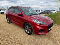 USED 2021 70 FORD KUGA 2.0 EcoBlue MHEV ST-Line Edition SUV 5dr Diesel Manual Euro 6 (s/s) (150 ps) 