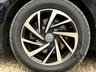 USED 2019 69 VOLKSWAGEN GOLF 1.5 Golf Match TSi Evo 5dr Apple CarPlay Android Auto