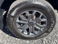 USED 2023 73 FORD RANGER 2.0 TD Wildtrak Pickup Double Cab 4dr Diesel Auto 4WD Euro 6 205PS 