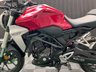 USED 2018 68 HONDA CBF300 FINANCE SPECIALISTS APPLY NOW LOW RATE FINANCE DELIVERY AVAILABLE